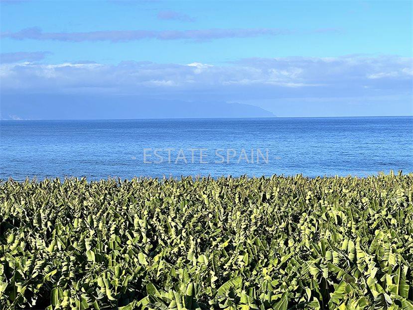 Участок в Гия-де-Исора 23000 м2 №PL24819EB771  - Продажа - 10 large