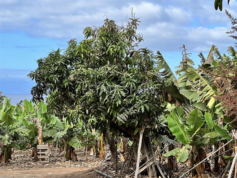 Участок в Гия-де-Исора 23000 м2 №PL24819EB771  - Продажа - 3 large