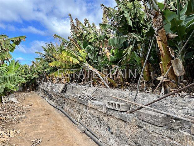 Участок в Гия-де-Исора 23000 м2 №PL24819EB771  - Продажа - 17 preview