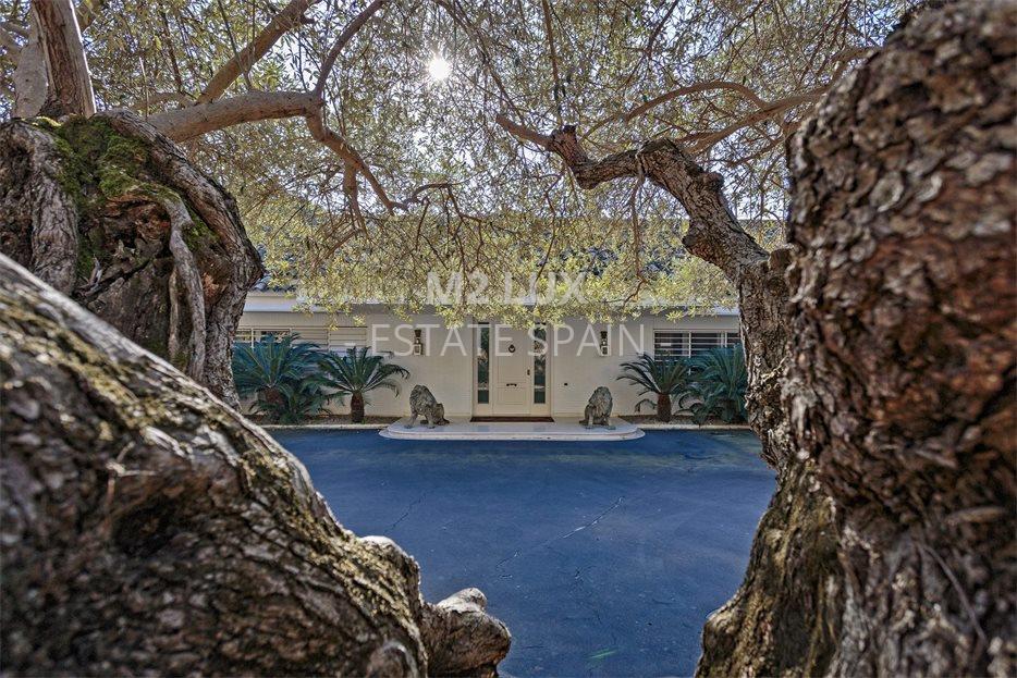 Усадьба в Аренис-де-Мар 1344 м2 №VL20110640DA  - Продажа - 12 large