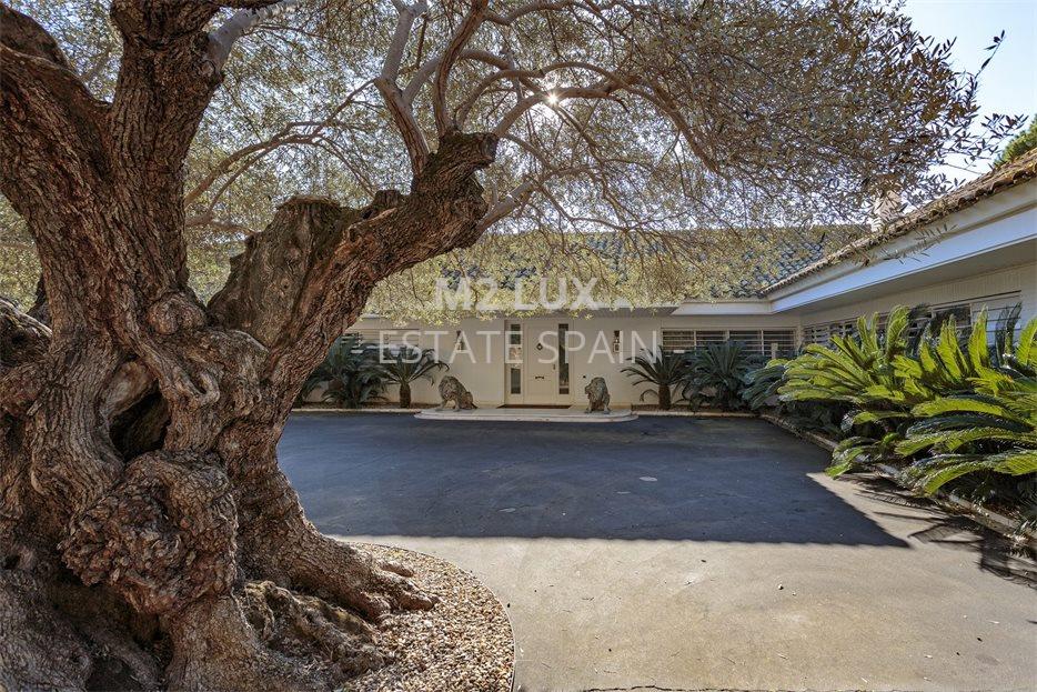 Усадьба в Аренис-де-Мар 1344 м2 №VL20110640DA  - Продажа - 6 large