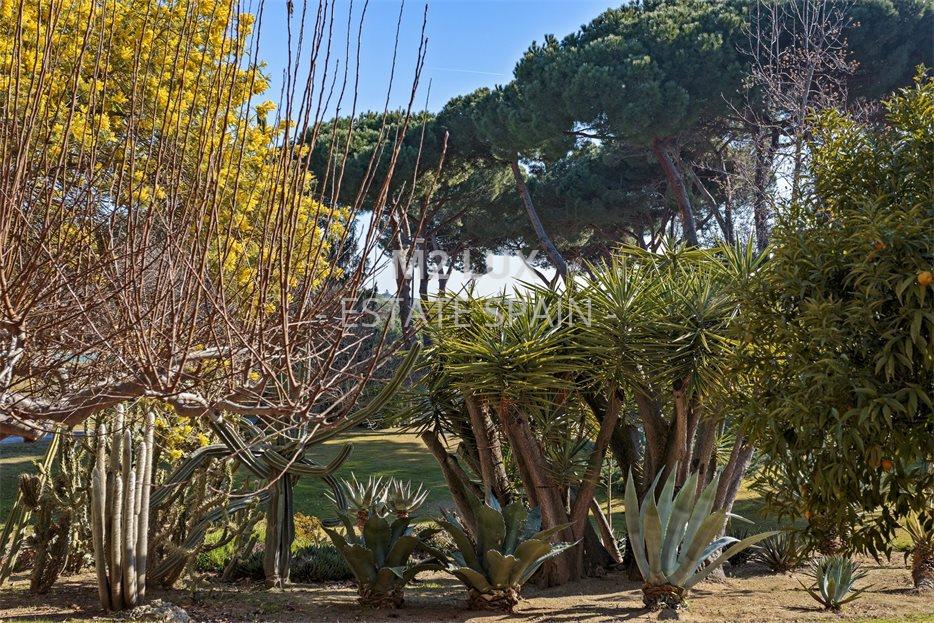 Усадьба в Аренис-де-Мар 1344 м2 №VL20110640DA  - Продажа - 98 large