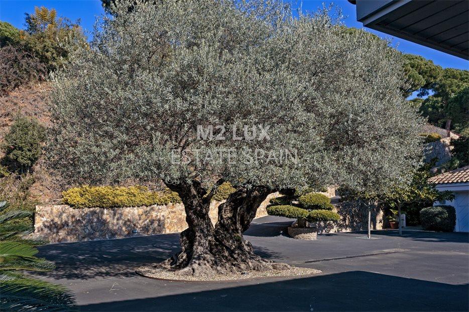 Усадьба в Аренис-де-Мар 1344 м2 №VL20110640DA  - Продажа - 15 large