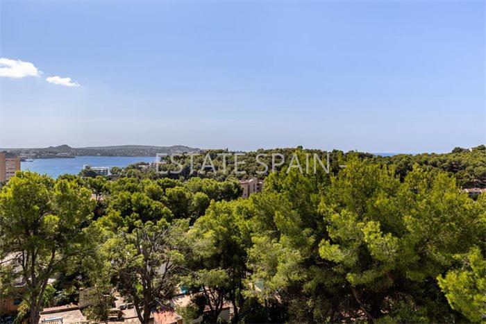 Вилла в Кальвия 317 м2 №VL2311646ACF  - Продажа - 22 preview