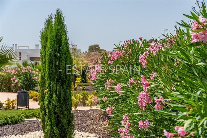 Бунгало в Ориуэла 75 м2 №BL25114D5EF0  - Продажа - 25 preview