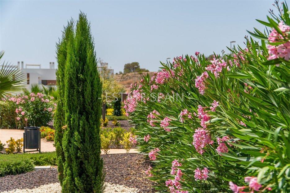 Бунгало в Ориуэла 75 м2 №BL25114D5EF0  - Продажа - 25 large