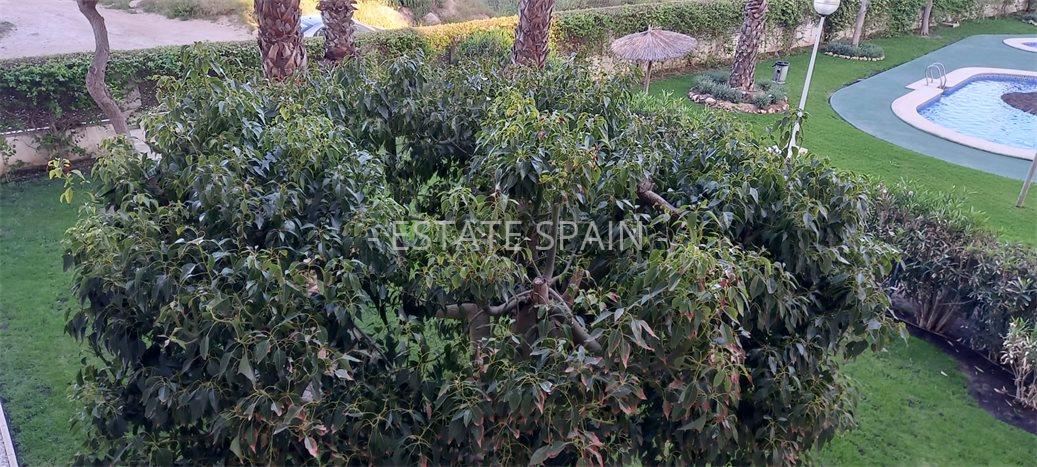 Апартаменты в Гуардамар-дель-Сегура 115 м2 №ART231275D5E3  - Продажа - 20 preview