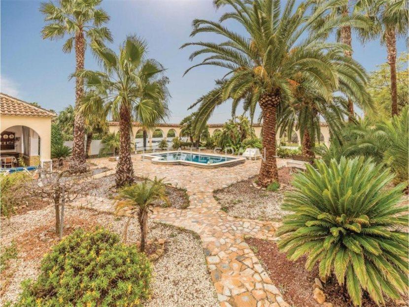 Сельский дом в Дайя Вьеха 246 м2 №VL21326E257E  - Продажа - 28 large