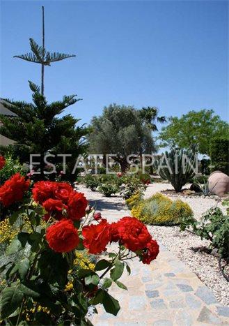 Сельский дом в Дайя Вьеха 246 м2 №VL21326E257E  - Продажа - 3 preview