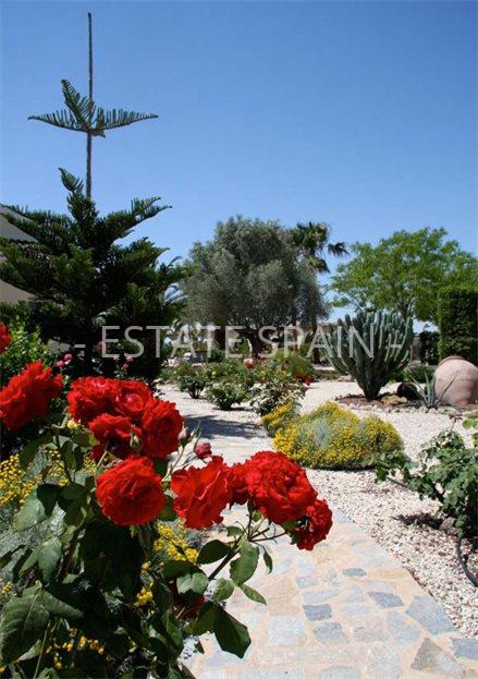 Сельский дом в Дайя Вьеха 246 м2 №VL21326E257E  - Продажа - 3 large