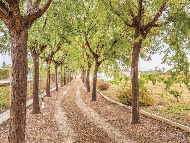 Сельский дом в Дайя Вьеха 246 м2 №VL21326E257E  - Продажа - 26 preview