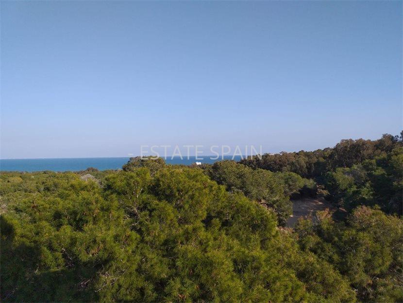 Апартаменты в Гуардамар-дель-Сегура 116 м2 №ART26197CD29  - Продажа - 13 large