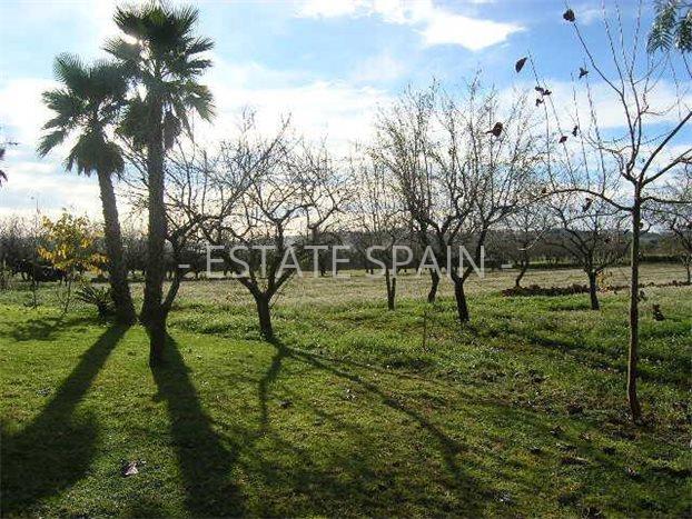 Вилла в Бенисе 350 м2 №VL218307FC7F  - Продажа - 8 preview