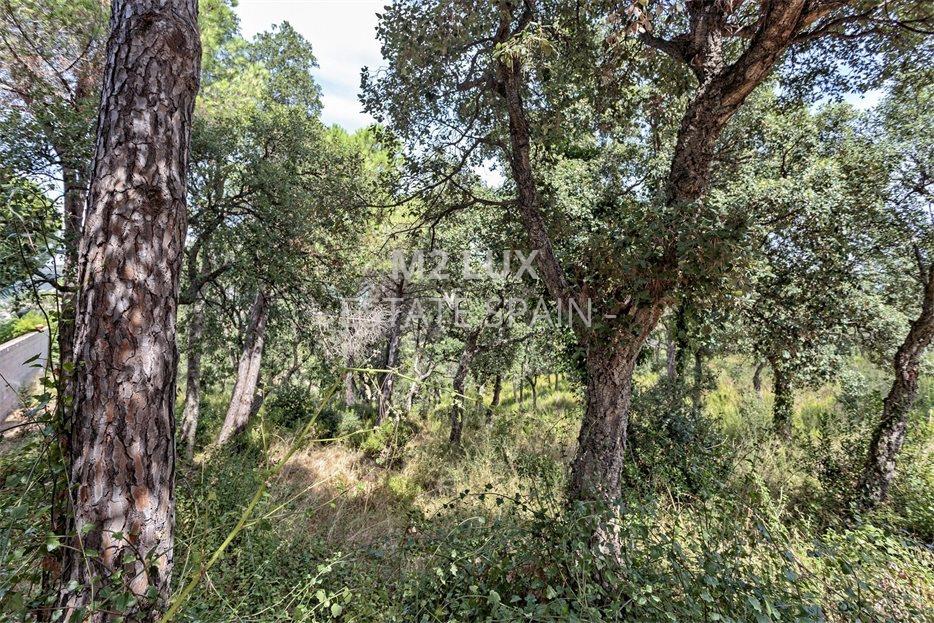 Участок в Калонже 1041 м2 №PL209104831A  - Продажа - 2 large