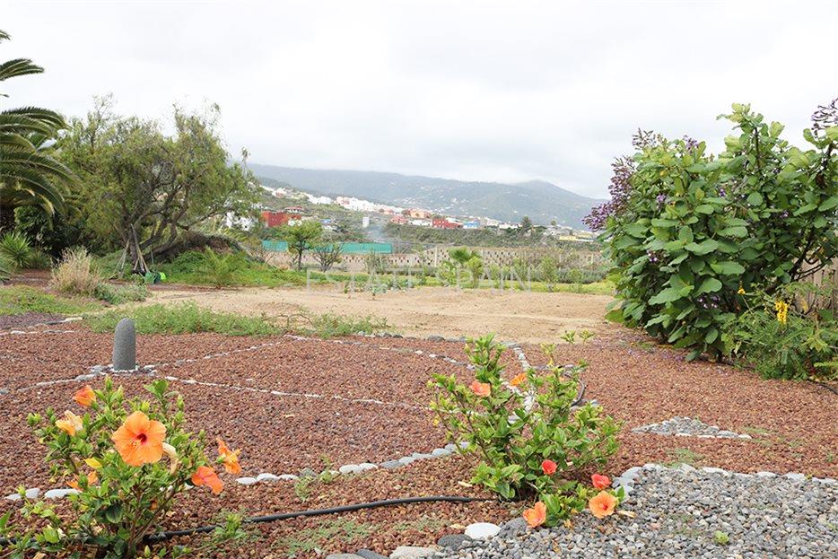 Дом в Икод-де-лос-Винос 125 м2 №VL198847338  - Продажа - 22 large