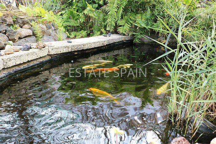 Дом в Икод-де-лос-Винос 125 м2 №VL198847338  - Продажа - 5 preview