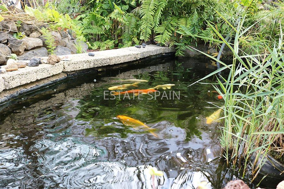 Дом в Икод-де-лос-Винос 125 м2 №VL198847338  - Продажа - 5 large