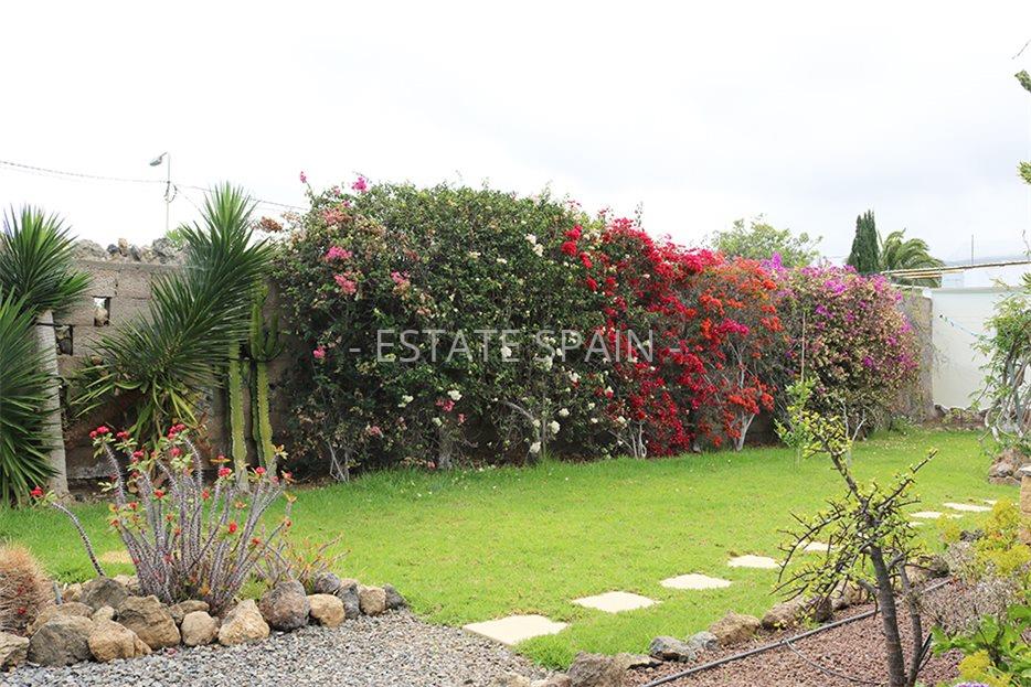 Дом в Икод-де-лос-Винос 125 м2 №VL198847338  - Продажа - 24 large