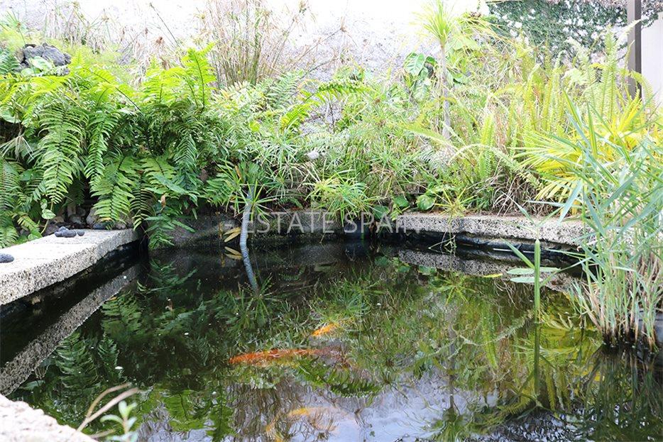 Дом в Икод-де-лос-Винос 125 м2 №VL198847338  - Продажа - 4 large