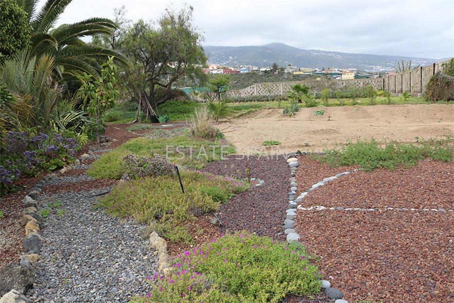 Дом в Икод-де-лос-Винос 125 м2 №VL198847338  - Продажа - 21 large