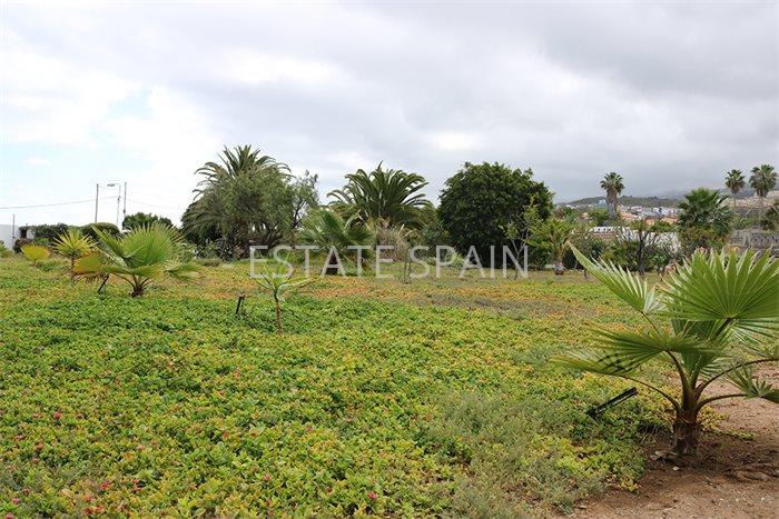 Дом в Икод-де-лос-Винос 125 м2 №VL198847338  - Продажа - 28 preview