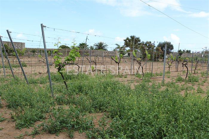 Дом в Икод-де-лос-Винос 125 м2 №VL198847338  - Продажа - 30 preview