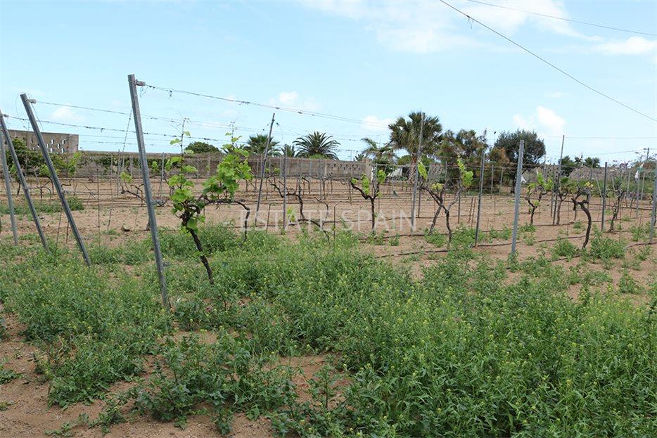 Дом в Икод-де-лос-Винос 125 м2 №VL198847338  - Продажа - 30 large