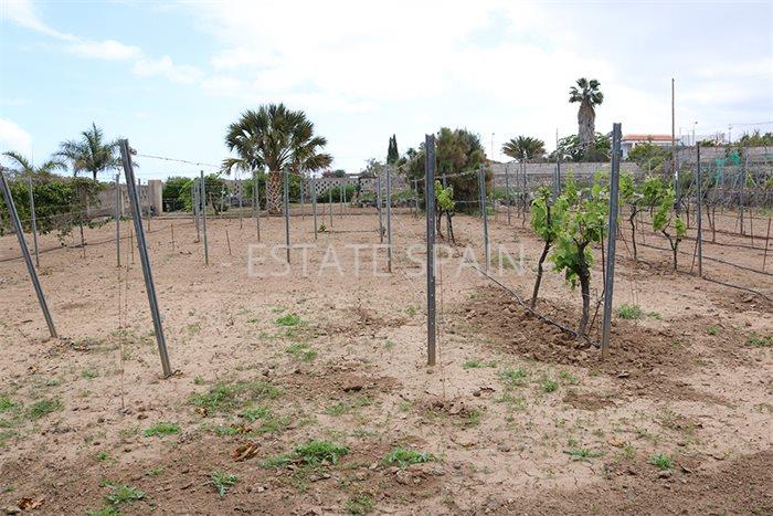 Дом в Икод-де-лос-Винос 125 м2 №VL198847338  - Продажа - 29 preview