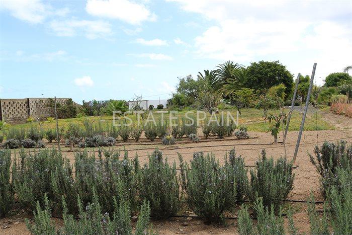 Дом в Икод-де-лос-Винос 125 м2 №VL198847338  - Продажа - 26 preview