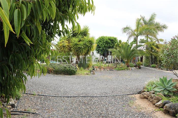 Дом в Икод-де-лос-Винос 125 м2 №VL198847338  - Продажа - 25 preview