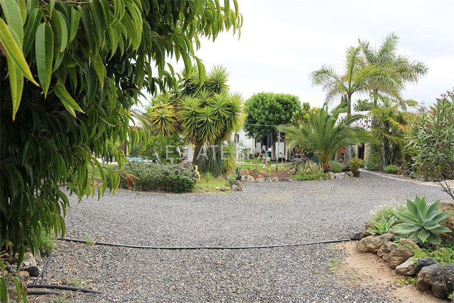 Дом в Икод-де-лос-Винос 125 м2 №VL198847338  - Продажа - 25 large