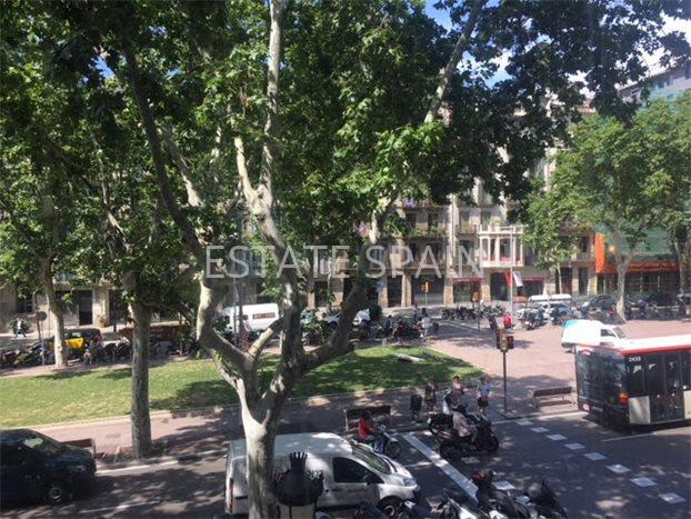 Квартира в Барселоне 200 м2 №ART1958A6A14  - Продажа - 5 preview