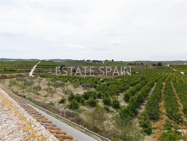 Апартаменты в Ориуэла 259 м2 №ART2471C77BC  - Продажа - 27 preview