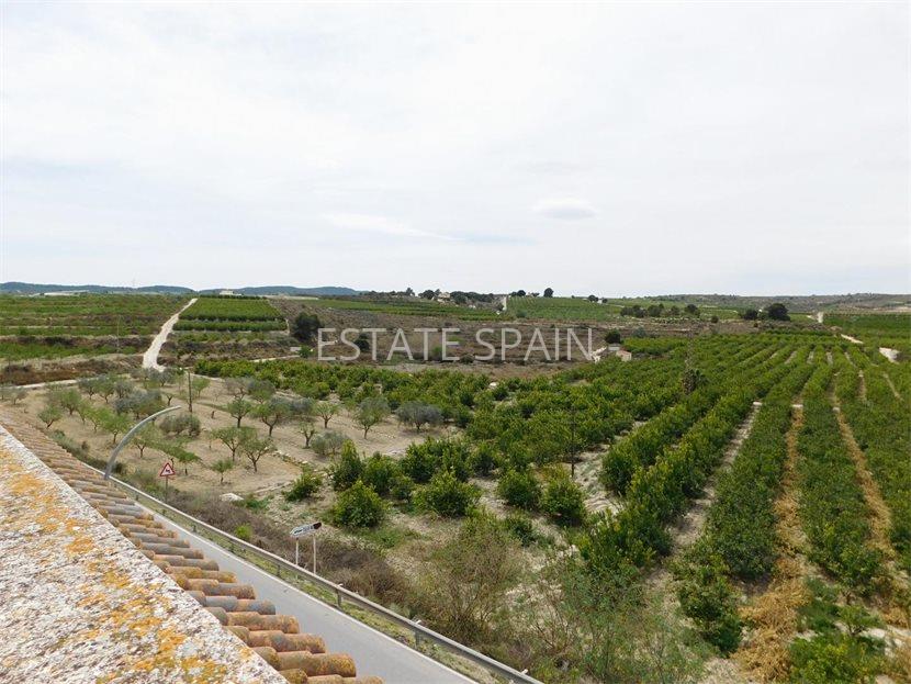 Апартаменты в Ориуэла 259 м2 №ART2471C77BC  - Продажа - 27 large