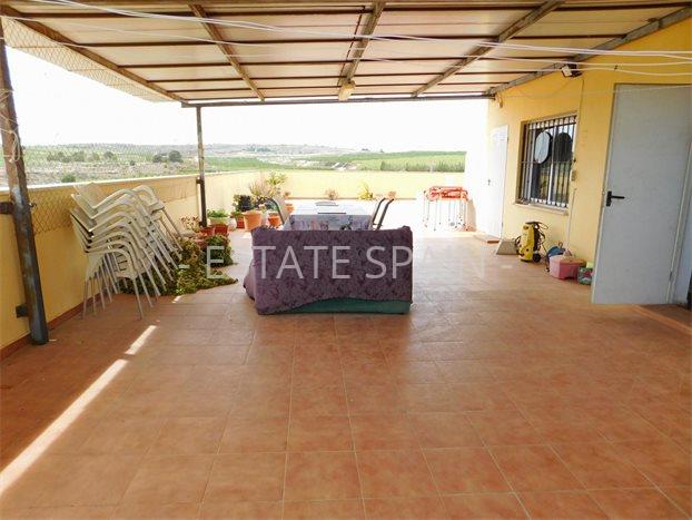 Апартаменты в Ориуэла 259 м2 №ART2471C77BC  - Продажа - 23 preview