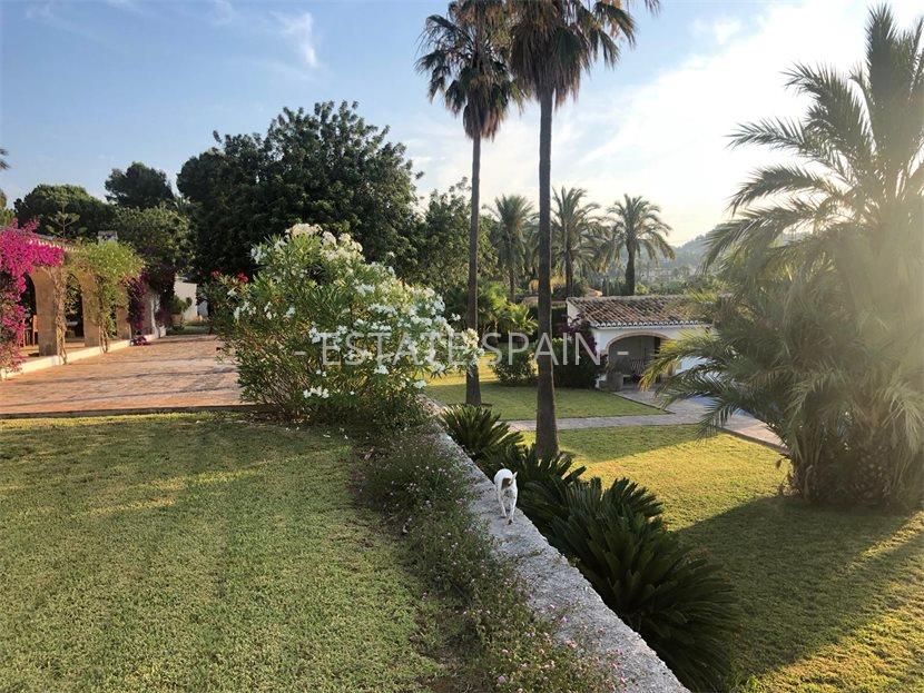 Вилла в Хавее 360 м2 №VL20923171DD  - Продажа - 33 large