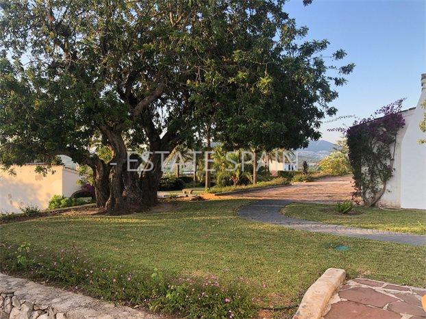 Вилла в Хавее 360 м2 №VL20923171DD  - Продажа - 43 preview