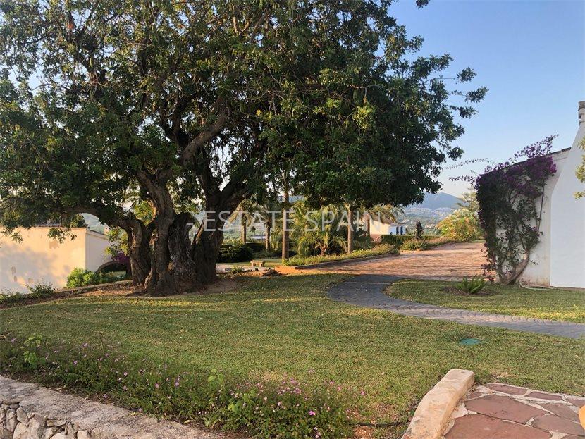 Вилла в Хавее 360 м2 №VL20923171DD  - Продажа - 43 large