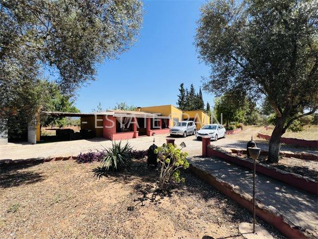 Сельский дом в Альгайда 80 м2 №VL2471E2BED  - Продажа - 10 preview