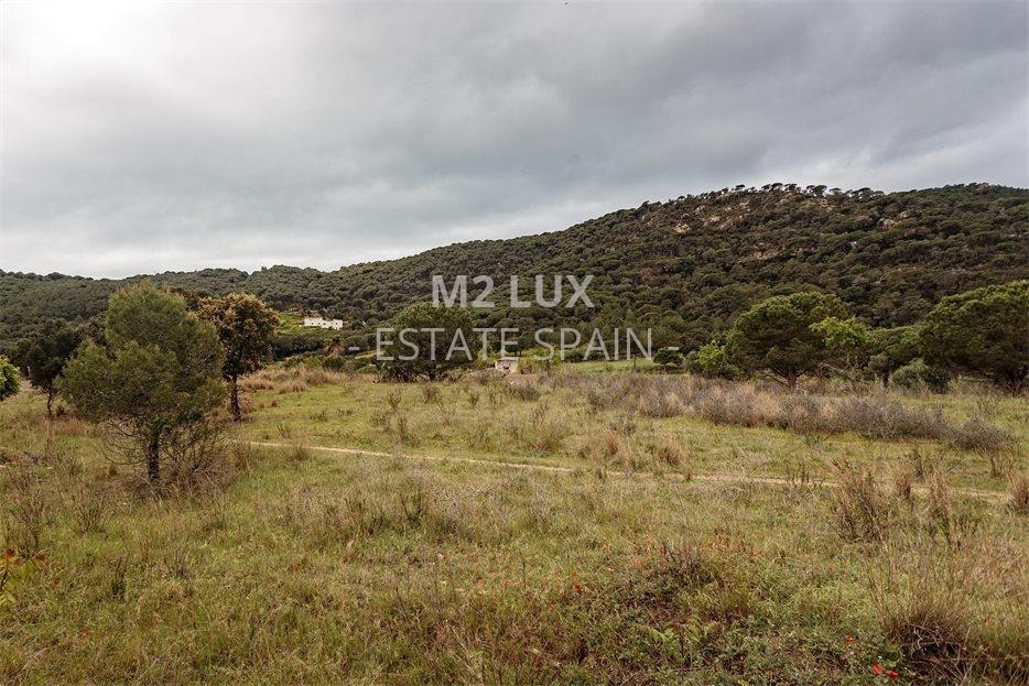 Усадьба в Сан-Фелиу-де-Гишольс 520 м2 №VL194245D65E  - Продажа - 63 large