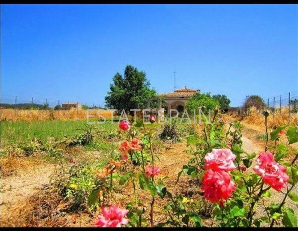 Сельский дом в Инка 240 м2 №VL22512B5ED4  - Продажа - 9 preview