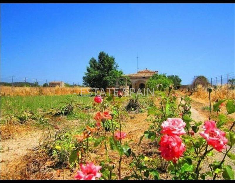 Сельский дом в Инка 240 м2 №VL22512B5ED4  - Продажа - 9 large