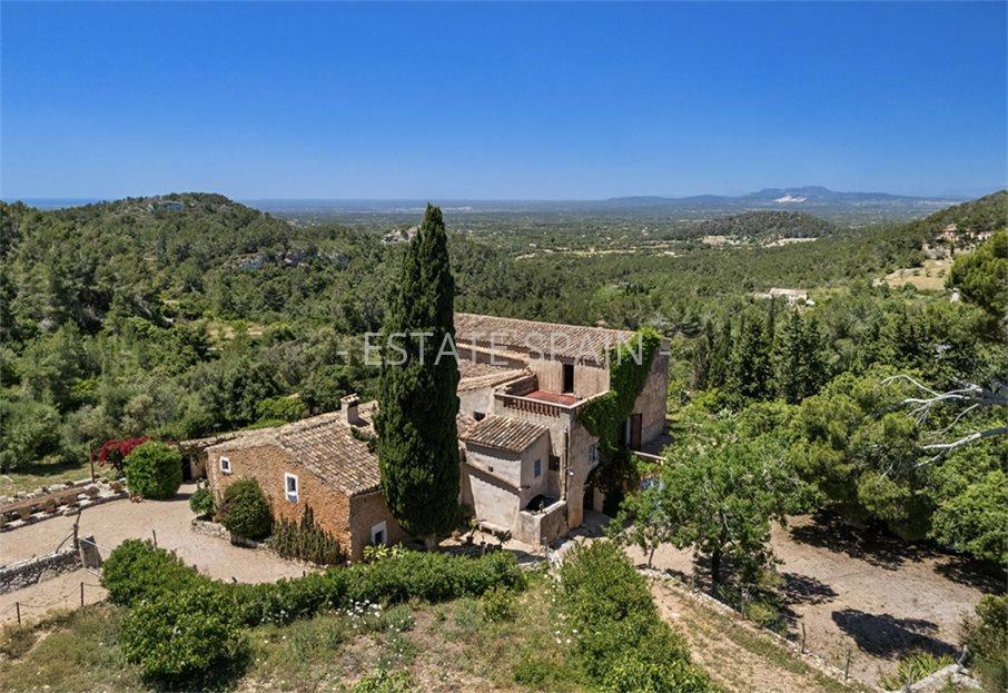 Усадьба в Феланиче 1081 м2 №VL2579B4901  - Продажа - 4 large