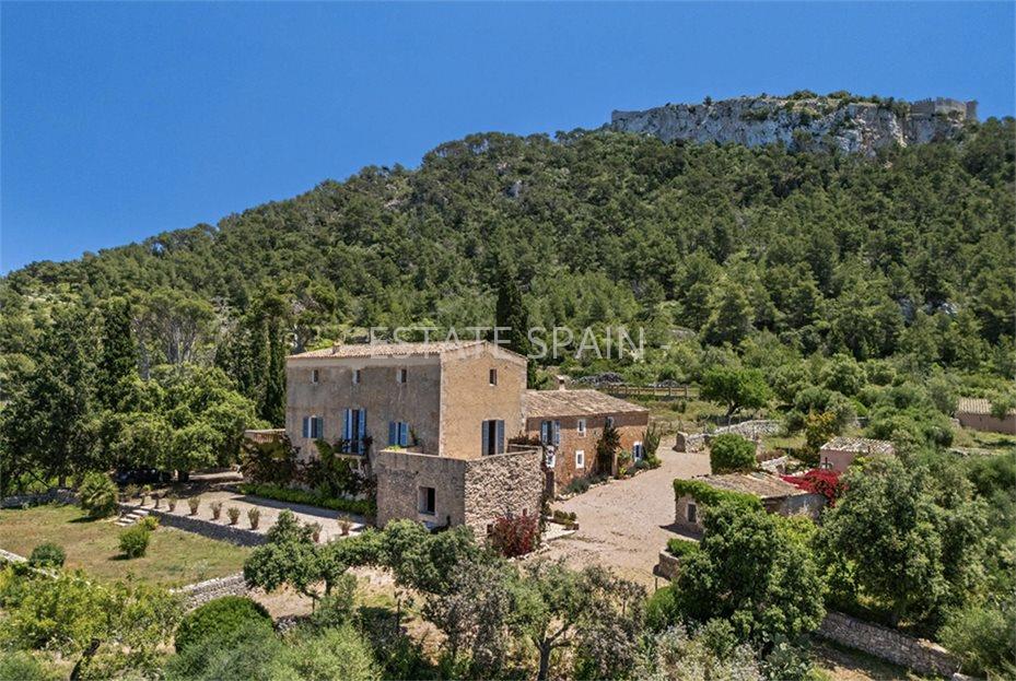 Усадьба в Феланиче 1081 м2 №VL2579B4901  - Продажа - 1 large