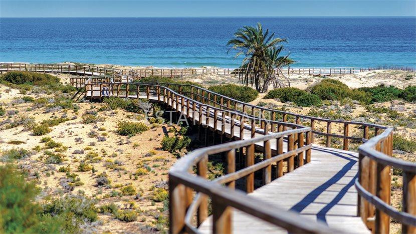 Бунгало в Монфорте-дель-Сид 186 м2 №BL259176AADC  - Продажа - 20 preview