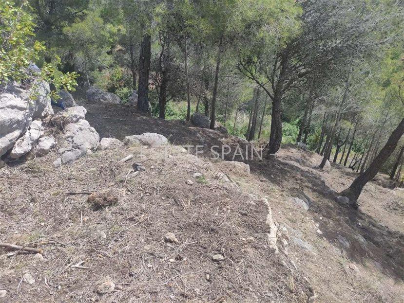 Вилла в Альтее 610 м2 №VL2426C4269  - Продажа - 12 large