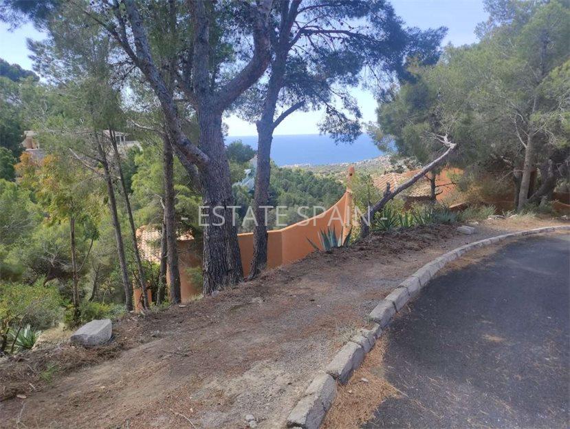 Вилла в Альтее 610 м2 №VL2426C4269  - Продажа - 14 large