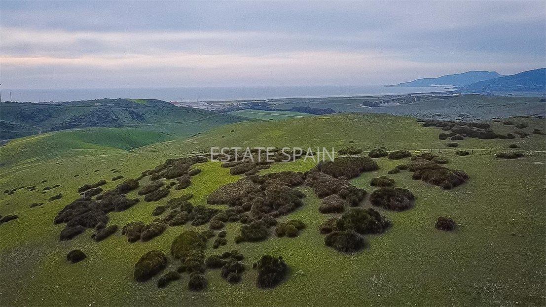 Участок в Тарифе 230 м2 №COM24365BE65  - Продажа - 7 large