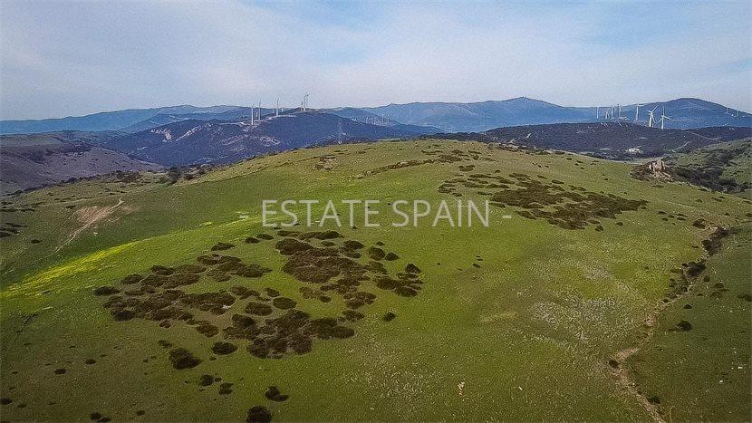 Участок в Тарифе 230 м2 №COM24365BE65  - Продажа - 6 preview