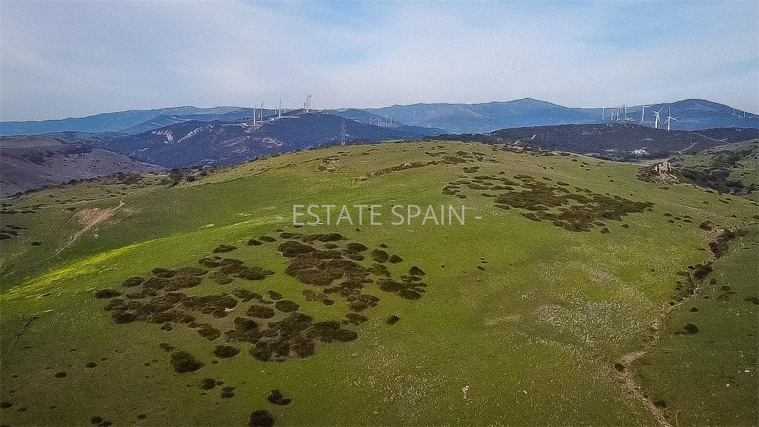 Участок в Тарифе 230 м2 №COM24365BE65  - Продажа - 6 large